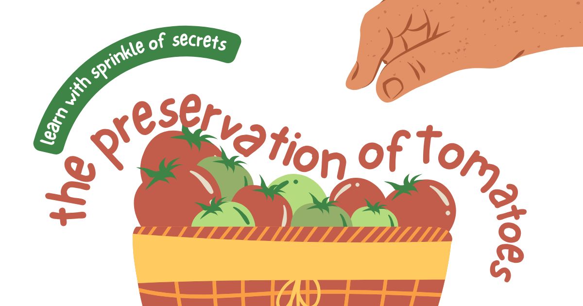  tomato preservation methods, best way to preserve tomatoes, tomato puree, storing tomatoes long term, cherry tomatoes,